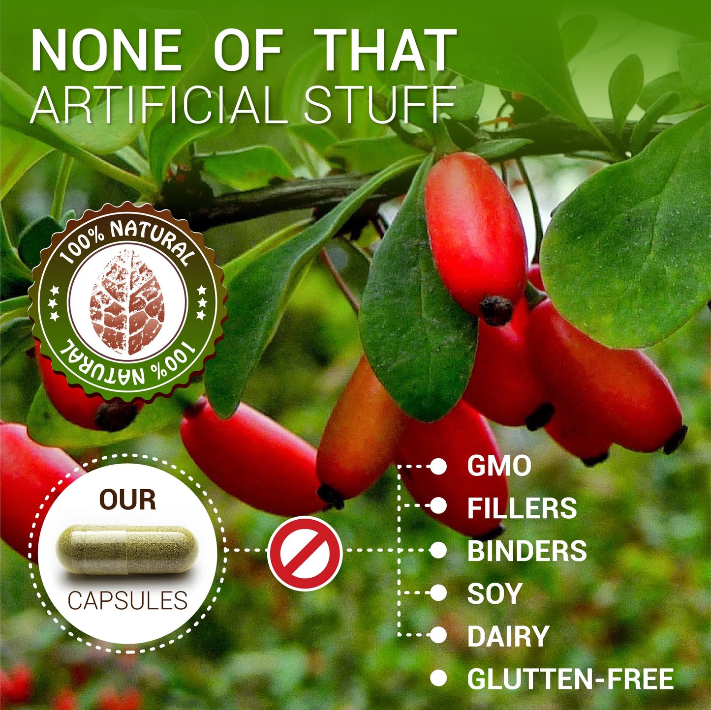 Berberine Herbal Supplement - Natural Herb Extract - May Help Maintain Normal Blood Sugar, Cholesterol Levels - May Help Promote Heart