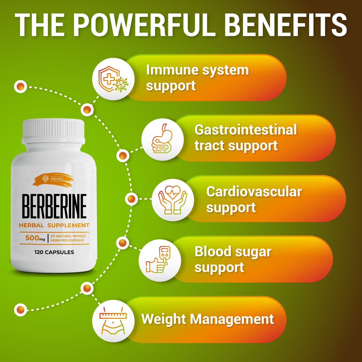 Berberine Herbal Supplement - Natural Herb Extract - May Help Maintain Normal Blood Sugar, Cholesterol Levels - May Help Promote Heart