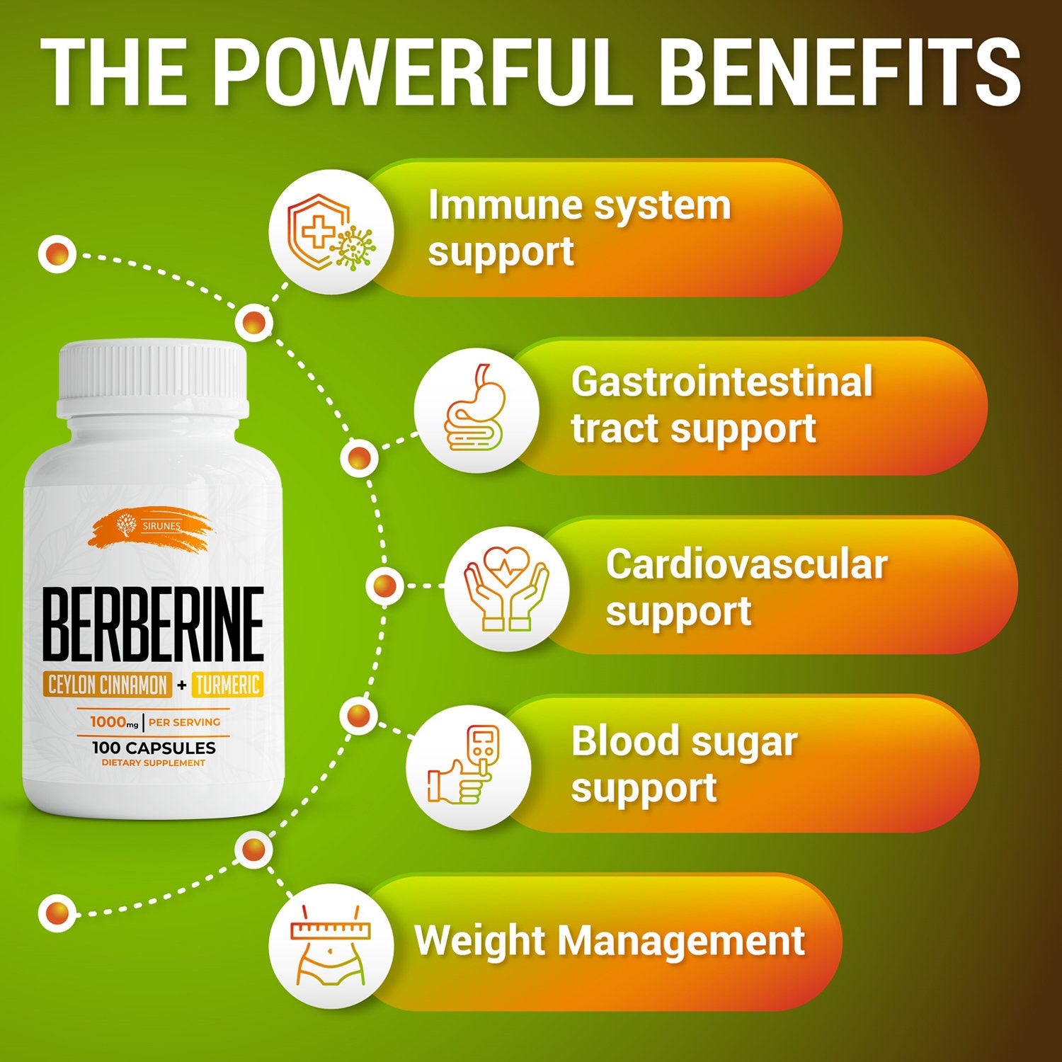 Berberine 100 Capsules Ceylon Cinnamon & Turmeric