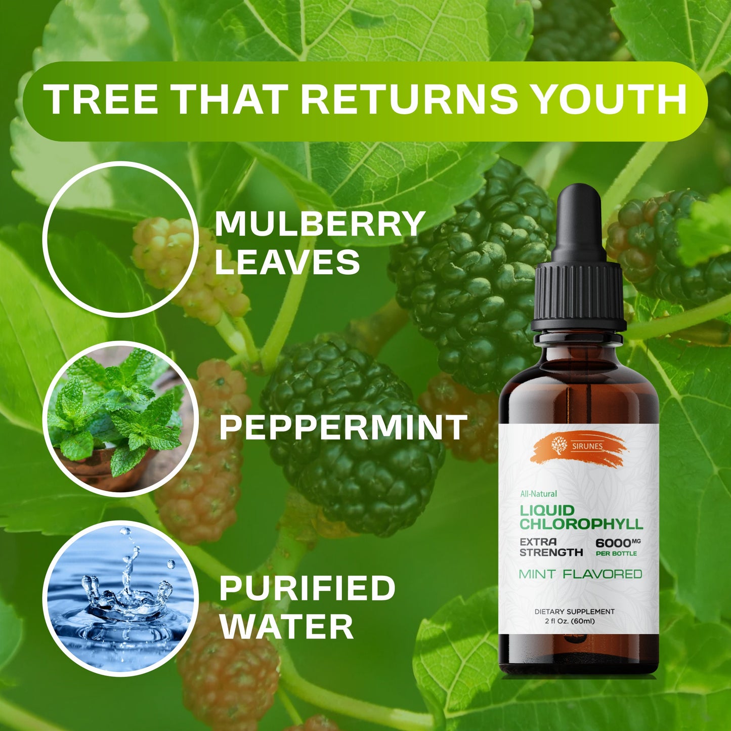 Liquid Chlorophyll Drops Copper Chlorophyllin Extract - Cleanse & Support Your Immune System 2oz