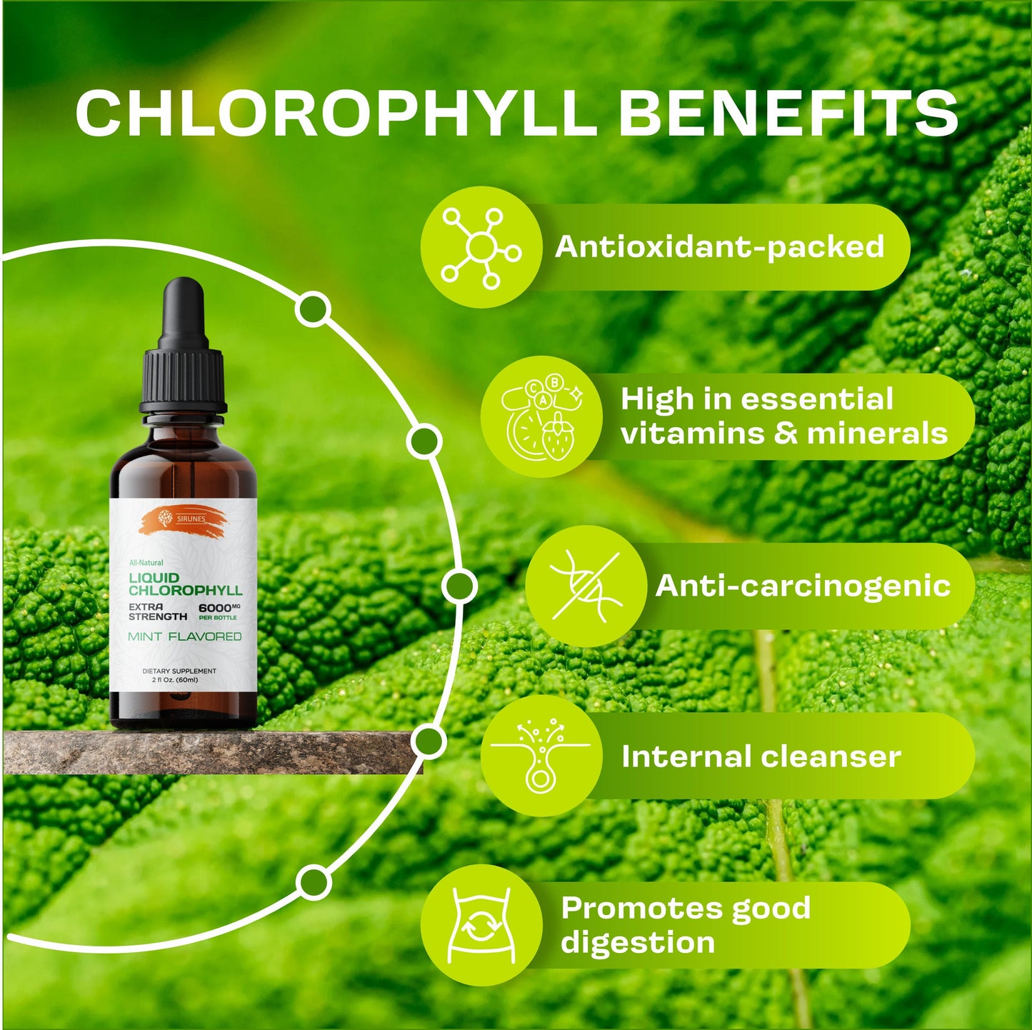 Liquid Chlorophyll Drops Copper Chlorophyllin Extract - Cleanse & Support Your Immune System 2oz