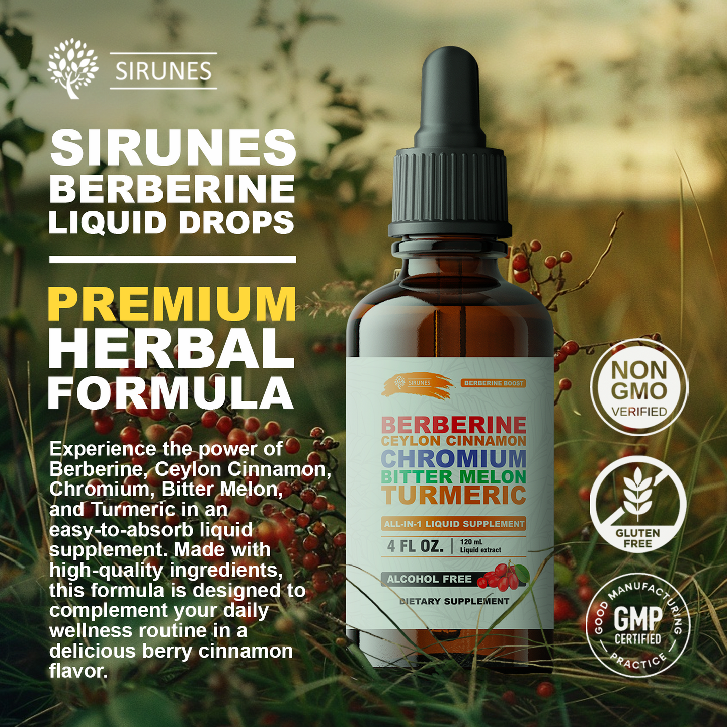 Berberine Drops – Berberine with Ceylon Cinnamon Drops, Liquid Herbal Supplement with Turmeric, Bitter Melon & Chromium, Alcohol-Free, 4 fl oz