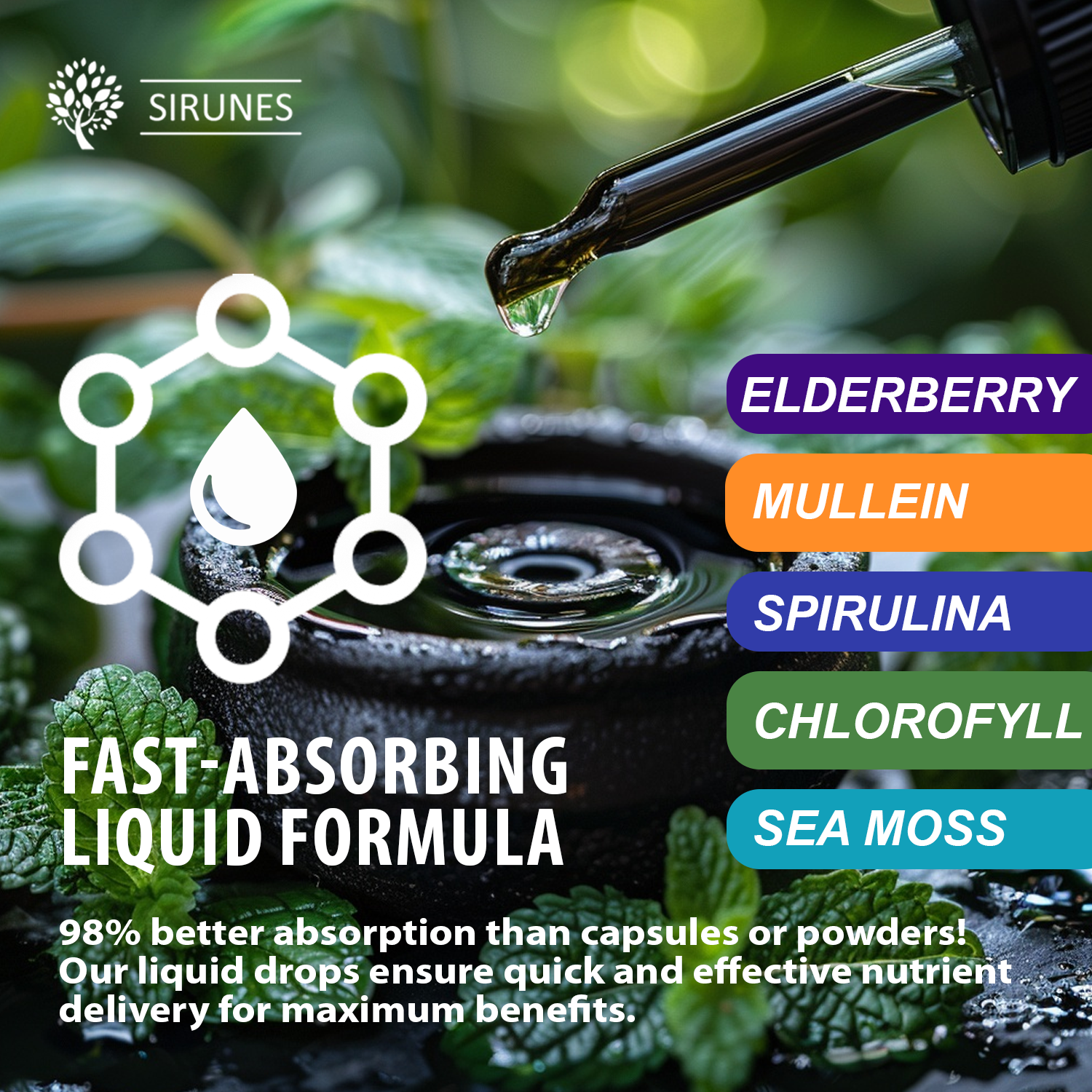 Mullein Drops for Respiratory Support | Herbal Lung Extract