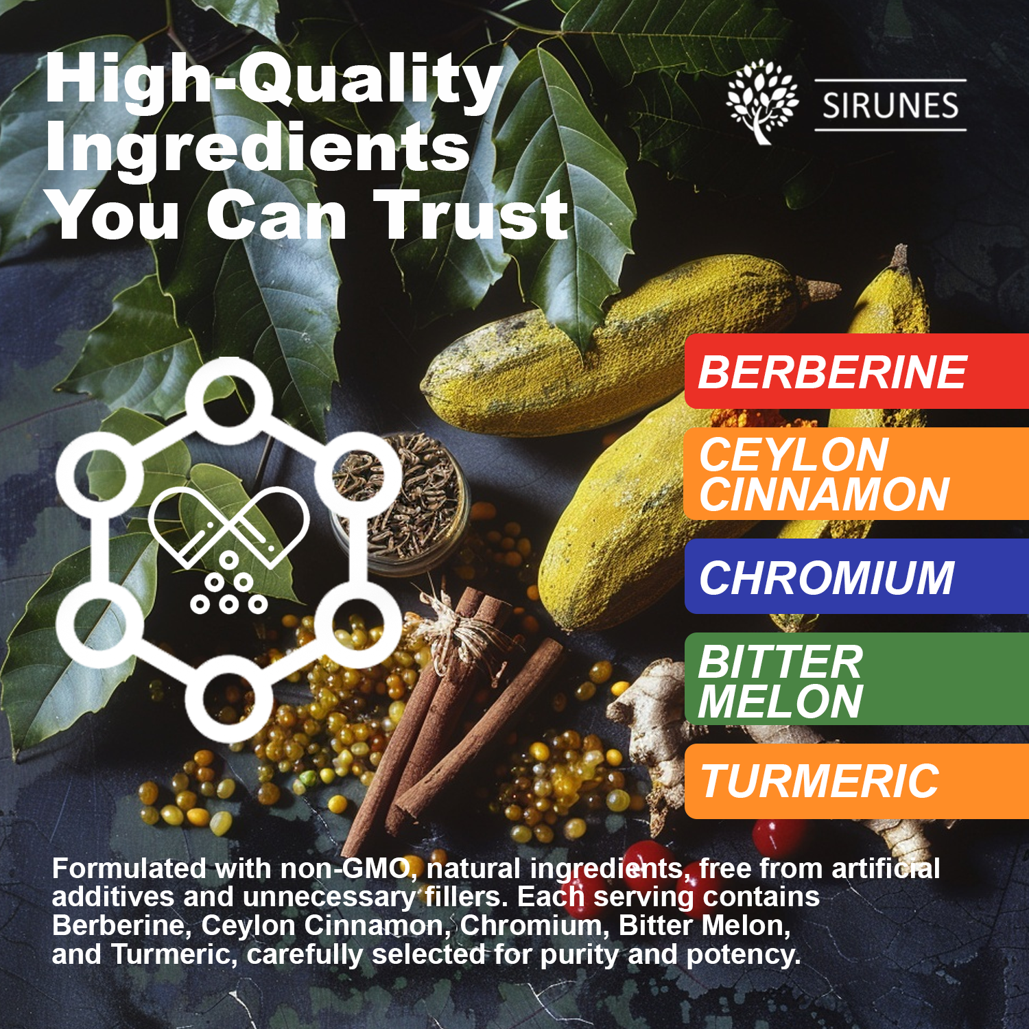 Berberine Drops – Berberine with Ceylon Cinnamon Drops, Liquid Herbal Supplement with Turmeric, Bitter Melon & Chromium, Alcohol-Free, 4 fl oz